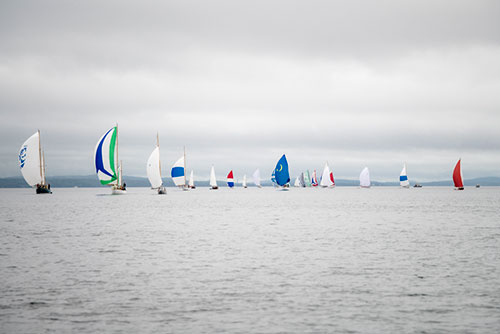 CCYR fleet under spinnaker