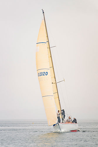 The Hawk - Winner Classic B